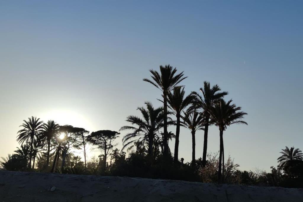 Latido Del Puerto Lägenhet Sagunto Exteriör bild